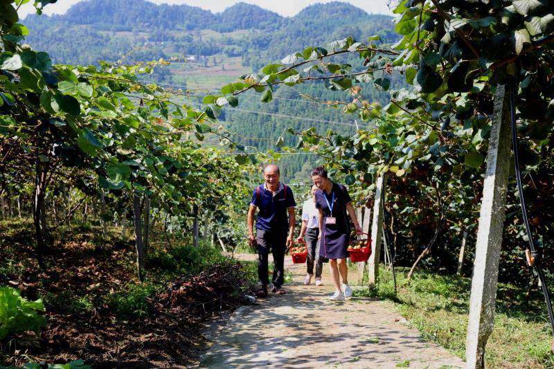 四川泸州叙永 专项监督巩固脱贫攻坚成果休闲区蓝鸢梦想 - Www.slyday.coM 四川泸州叙永 专项监督巩固脱贫攻坚成果休闲区蓝鸢梦想 - Www.slyday.coM