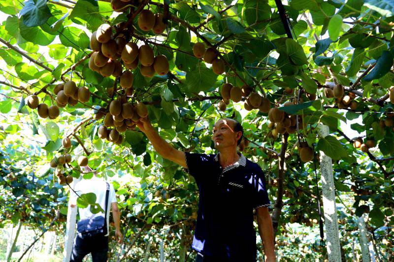 四川泸州叙永 专项监督巩固脱贫攻坚成果休闲区蓝鸢梦想 - Www.slyday.coM 四川泸州叙永 专项监督巩固脱贫攻坚成果休闲区蓝鸢梦想 - Www.slyday.coM