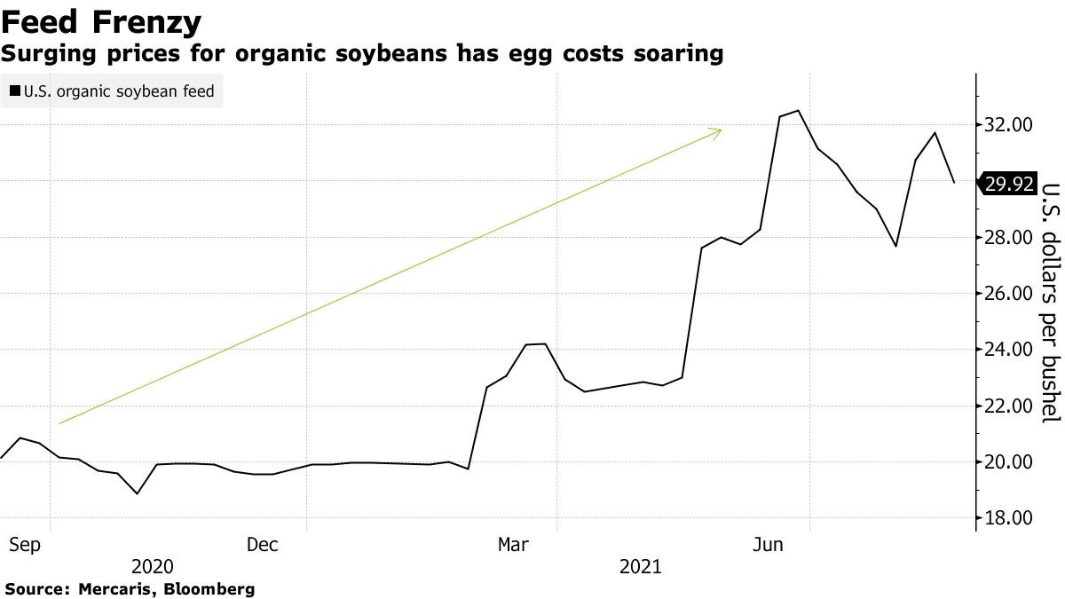 美国自讨苦吃,“挑事”印度致有机鸡蛋价格飞涨,或加剧食品通胀休闲区蓝鸢梦想 - Www.slyday.coM 美国自讨苦吃,“挑事”印度致有机鸡蛋价格飞涨,或加剧食品通胀休闲区蓝鸢梦想 - Www.slyday.coM