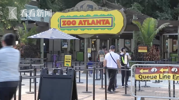 视频|美国动物园18只猩猩感染新冠 或被一名员工传染休闲区蓝鸢梦想 - Www.slyday.coM 视频|美国动物园18只猩猩感染新冠 或被一名员工传染休闲区蓝鸢梦想 - Www.slyday.coM