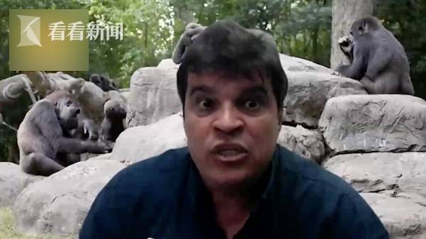 视频|美国动物园18只猩猩感染新冠 或被一名员工传染休闲区蓝鸢梦想 - Www.slyday.coM 视频|美国动物园18只猩猩感染新冠 或被一名员工传染休闲区蓝鸢梦想 - Www.slyday.coM