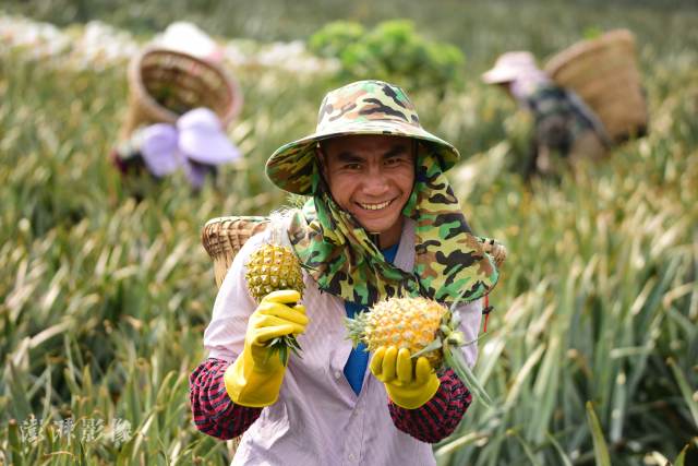 改革开放以来,按照现行贫困标准计算,中国7.7亿农村贫困人口摆脱贫困;十八大以来,到2020年底,中国现行标准下9899万农村贫困人口全部脱贫,832个贫困县全部摘帽,12.8万个贫困村全部出列。图自澎湃影像