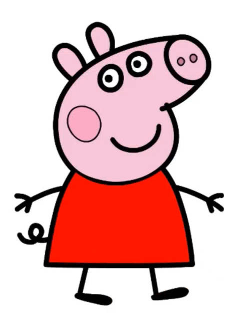 今天给大家分享宝宝们的爱小猪佩奇简笔画