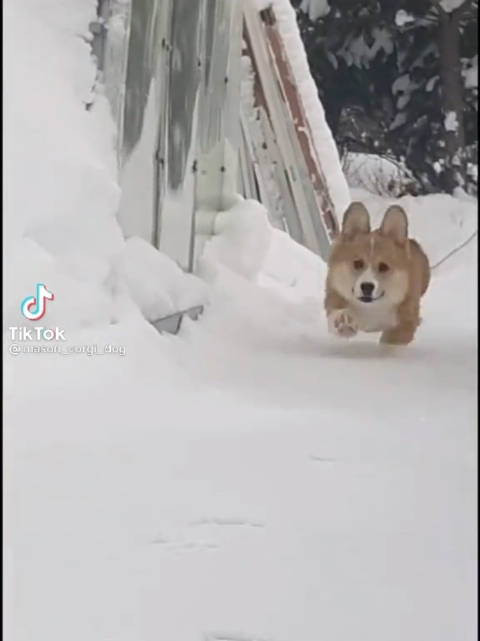 底盘扎实，跑起来就踏实！（今日连播