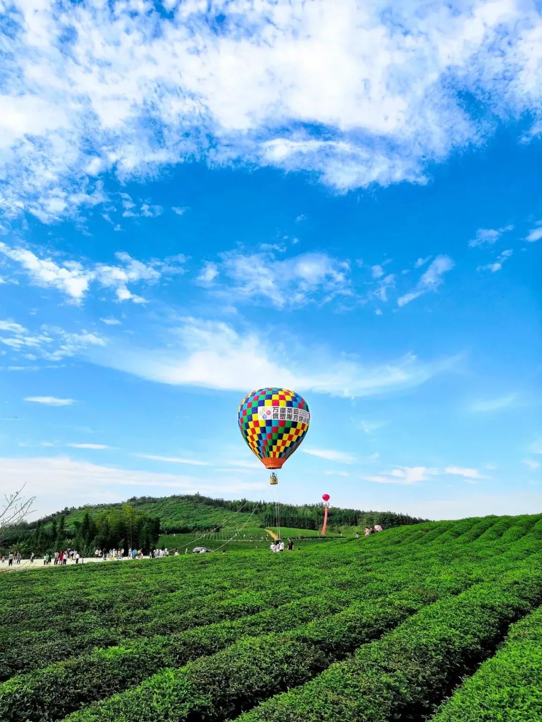 假期第一天,这条咸宁中秋精品线路赶紧get起来!休闲区蓝鸢梦想 - Www.slyday.coM 假期第一天,这条咸宁中秋精品线路赶紧get起来!休闲区蓝鸢梦想 - Www.slyday.coM