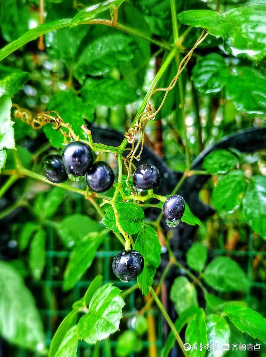 情报站休闲区蓝鸢梦想 - Www.slyday.coM 情报站休闲区蓝鸢梦想 - Www.slyday.coM