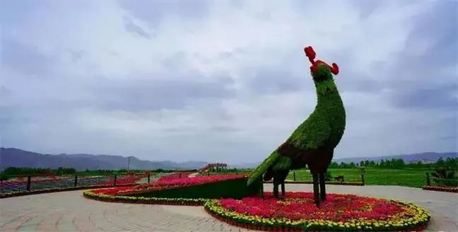 假期去哪儿玩?甘肃这15条风光绝美的旅游线路→走起!休闲区蓝鸢梦想 - Www.slyday.coM 假期去哪儿玩?甘肃这15条风光绝美的旅游线路→走起!休闲区蓝鸢梦想 - Www.slyday.coM