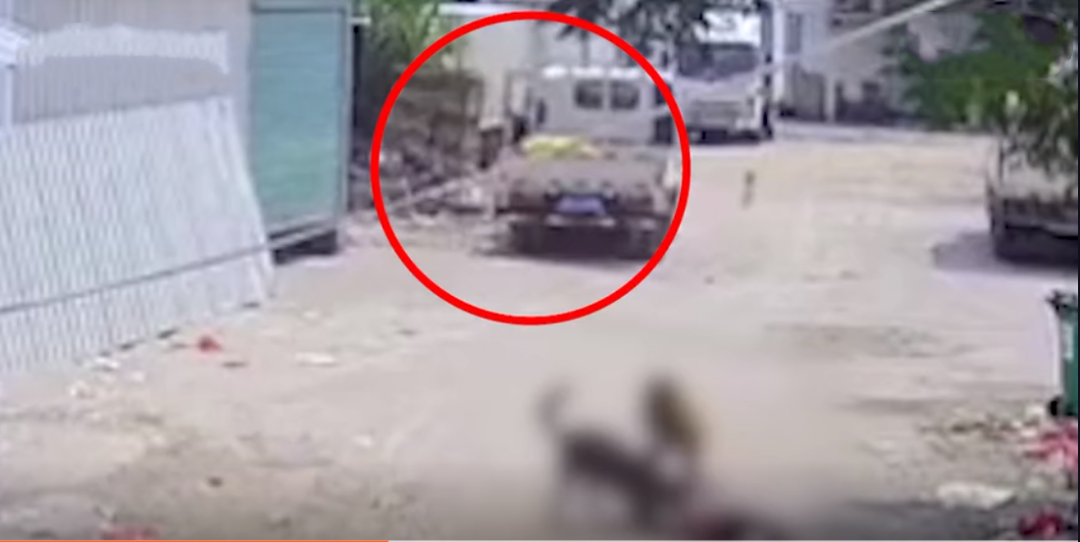 视频触目惊心!一老人被恶犬撕咬身亡,现场还有一个细节……休闲区蓝鸢梦想 - Www.slyday.coM 视频触目惊心!一老人被恶犬撕咬身亡,现场还有一个细节……休闲区蓝鸢梦想 - Www.slyday.coM