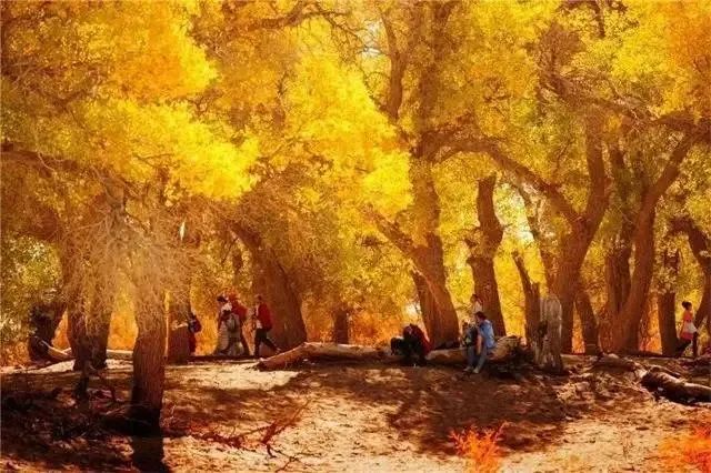 假期去哪儿玩?甘肃这15条风光绝美的旅游线路→走起!休闲区蓝鸢梦想 - Www.slyday.coM 假期去哪儿玩?甘肃这15条风光绝美的旅游线路→走起!休闲区蓝鸢梦想 - Www.slyday.coM