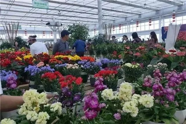 假期去哪儿玩?甘肃这15条风光绝美的旅游线路→走起!休闲区蓝鸢梦想 - Www.slyday.coM 假期去哪儿玩?甘肃这15条风光绝美的旅游线路→走起!休闲区蓝鸢梦想 - Www.slyday.coM