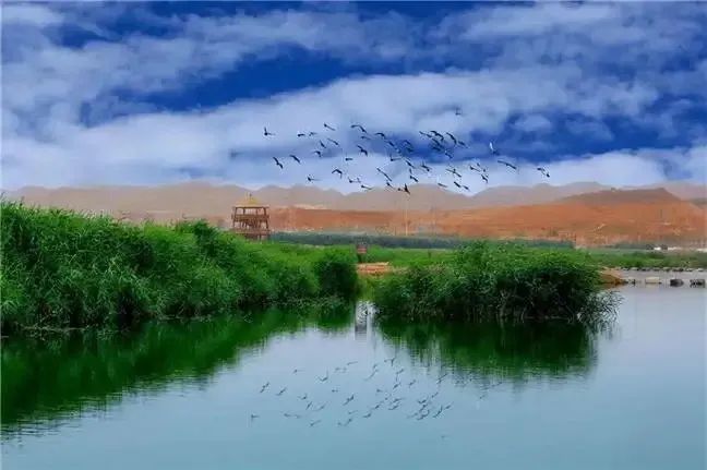 假期去哪儿玩?甘肃这15条风光绝美的旅游线路→走起!休闲区蓝鸢梦想 - Www.slyday.coM 假期去哪儿玩?甘肃这15条风光绝美的旅游线路→走起!休闲区蓝鸢梦想 - Www.slyday.coM