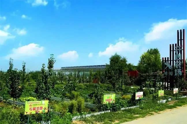 假期去哪儿玩?甘肃这15条风光绝美的旅游线路→走起!休闲区蓝鸢梦想 - Www.slyday.coM 假期去哪儿玩?甘肃这15条风光绝美的旅游线路→走起!休闲区蓝鸢梦想 - Www.slyday.coM