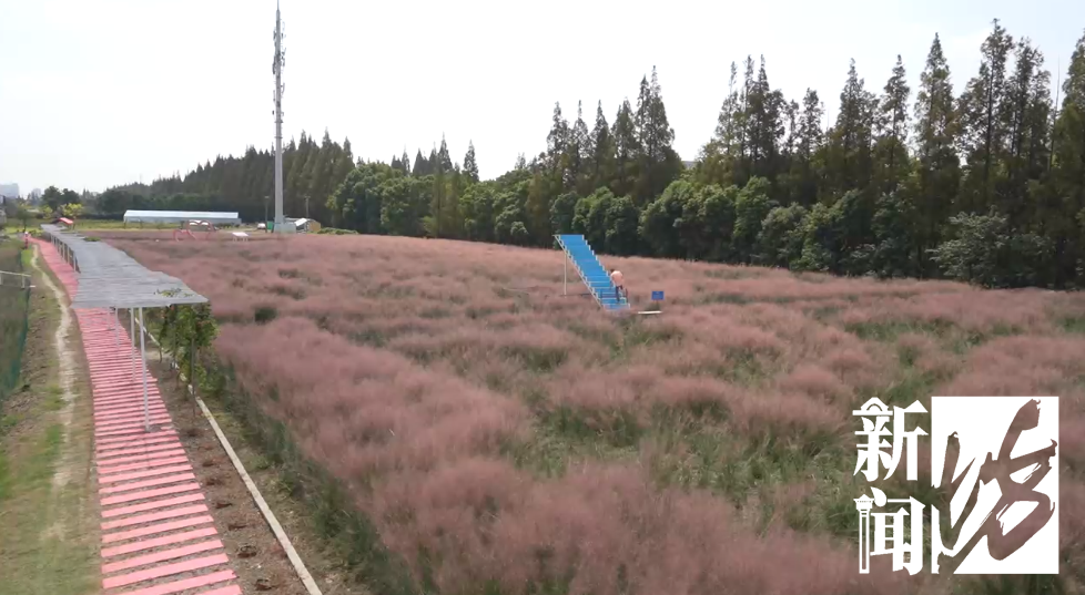 今年过节不补课!“双减”后的第一个假期,孩子们都去…种田了?休闲区蓝鸢梦想 - Www.slyday.coM 今年过节不补课!“双减”后的第一个假期,孩子们都去…种田了?休闲区蓝鸢梦想 - Www.slyday.coM