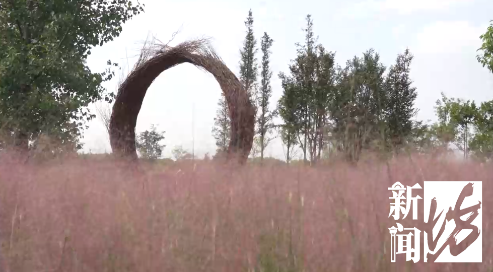 今年过节不补课!“双减”后的第一个假期,孩子们都去…种田了?休闲区蓝鸢梦想 - Www.slyday.coM 今年过节不补课!“双减”后的第一个假期,孩子们都去…种田了?休闲区蓝鸢梦想 - Www.slyday.coM