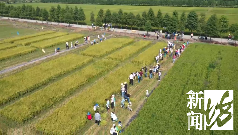 今年过节不补课!“双减”后的第一个假期,孩子们都去…种田了?休闲区蓝鸢梦想 - Www.slyday.coM 今年过节不补课!“双减”后的第一个假期,孩子们都去…种田了?休闲区蓝鸢梦想 - Www.slyday.coM