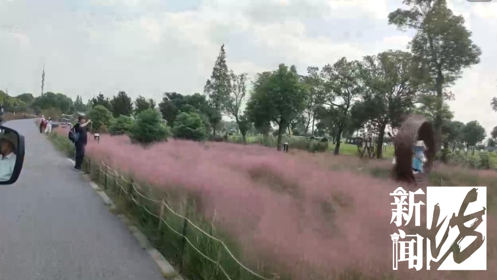 今年过节不补课!“双减”后的第一个假期,孩子们都去…种田了?休闲区蓝鸢梦想 - Www.slyday.coM 今年过节不补课!“双减”后的第一个假期,孩子们都去…种田了?休闲区蓝鸢梦想 - Www.slyday.coM