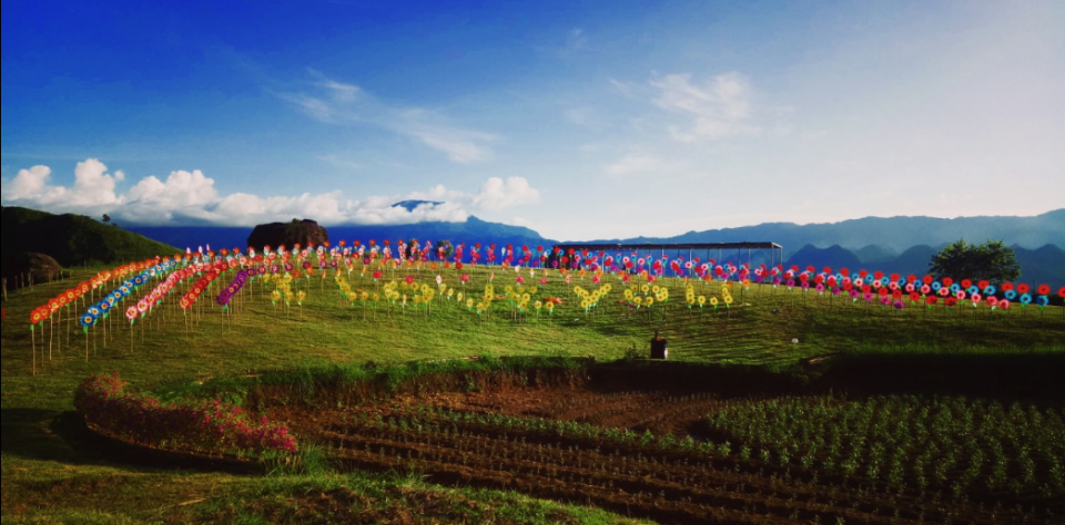 越南莱州，越南西北充满吸引力的旅游景点，你去过几个？