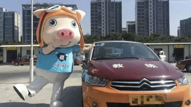 人去楼空!知名驾校破产,被曝拖欠3万学员近2亿元学费!休闲区蓝鸢梦想 - Www.slyday.coM 人去楼空!知名驾校破产,被曝拖欠3万学员近2亿元学费!休闲区蓝鸢梦想 - Www.slyday.coM