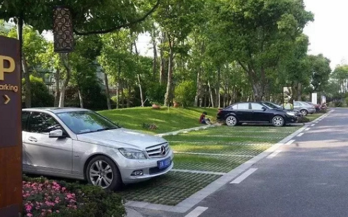 停车位里画个熊猫啥意思很多人已被罚不懂乖乖把3分交出来