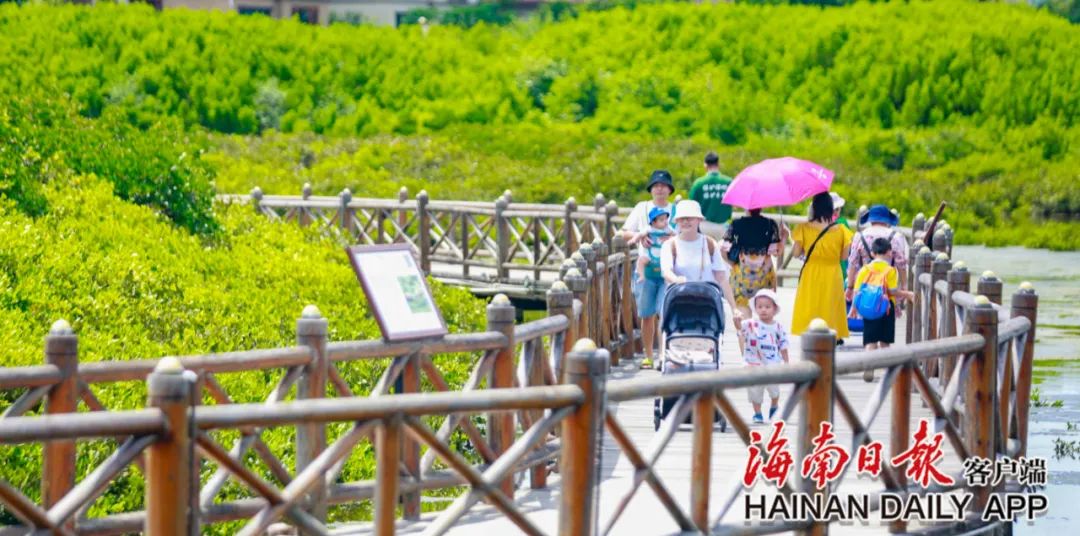 节日期间海南共查处道路交通违法行为5476起,其中酒驾78起休闲区蓝鸢梦想 - Www.slyday.coM 节日期间海南共查处道路交通违法行为5476起,其中酒驾78起休闲区蓝鸢梦想 - Www.slyday.coM