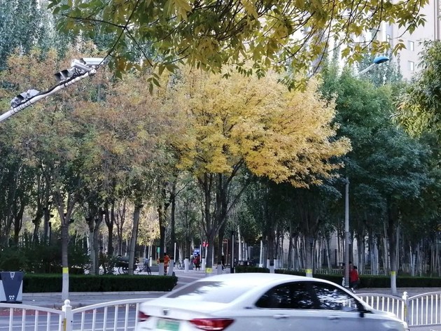 秋季汽车体检，安排！