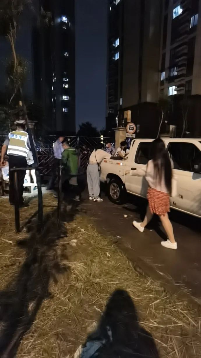 图片来源:新浪微博@上海领养之家