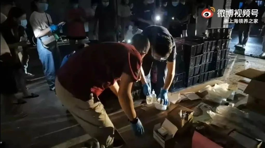 图片来源:@上海领养之家微博视频截图