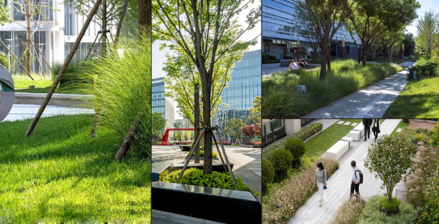 工业园景观设计案例 建科园林景观|园林|景观|工业园_新浪新闻