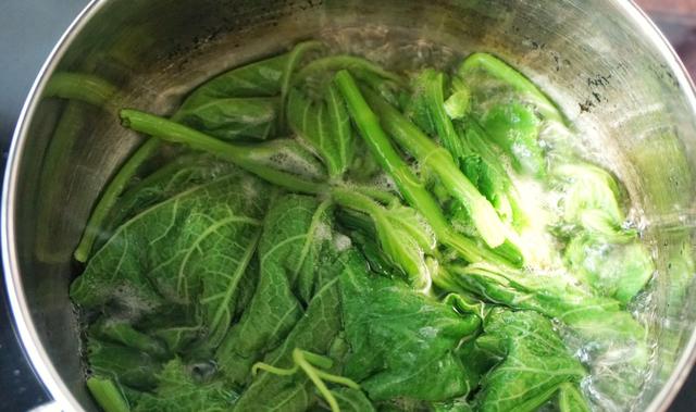 老人喜欢吃的南瓜藤,竟会给身体健康造成威胁,真是这样吗?休闲区蓝鸢梦想 - Www.slyday.coM 老人喜欢吃的南瓜藤,竟会给身体健康造成威胁,真是这样吗?休闲区蓝鸢梦想 - Www.slyday.coM