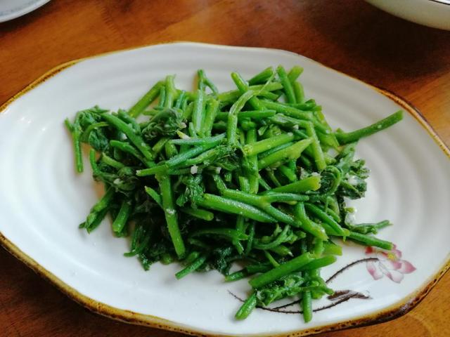 老人喜欢吃的南瓜藤,竟会给身体健康造成威胁,真是这样吗?休闲区蓝鸢梦想 - Www.slyday.coM 老人喜欢吃的南瓜藤,竟会给身体健康造成威胁,真是这样吗?休闲区蓝鸢梦想 - Www.slyday.coM