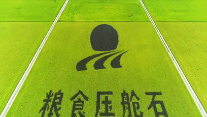 火速围观!“中国农民丰收节”黑龙江会场超燃开启休闲区蓝鸢梦想 - Www.slyday.coM 火速围观!“中国农民丰收节”黑龙江会场超燃开启休闲区蓝鸢梦想 - Www.slyday.coM