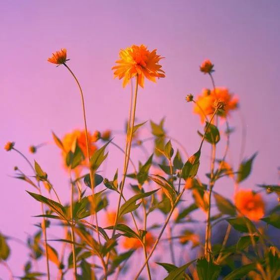 你好,9月25日休闲区蓝鸢梦想 - Www.slyday.coM 你好,9月25日休闲区蓝鸢梦想 - Www.slyday.coM