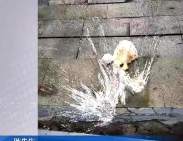 因外卖超时被扣3元,骑手竟上门贴纸条、打电话恐吓孕妇!上海警方:已行拘休闲区蓝鸢梦想 - Www.slyday.coM 因外卖超时被扣3元,骑手竟上门贴纸条、打电话恐吓孕妇!上海警方:已行拘休闲区蓝鸢梦想 - Www.slyday.coM