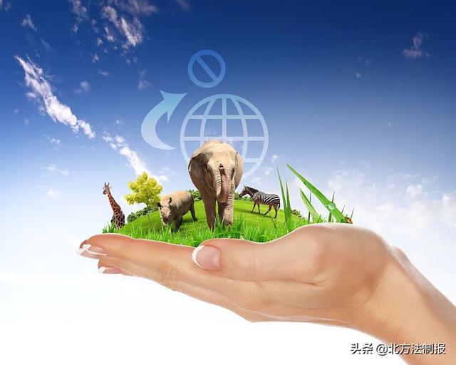 盗猎团伙误把小偷当猎物,枪响之后……休闲区蓝鸢梦想 - Www.slyday.coM 盗猎团伙误把小偷当猎物,枪响之后……休闲区蓝鸢梦想 - Www.slyday.coM