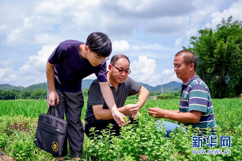 千人驻镇农行广东省分行助力乡村振兴