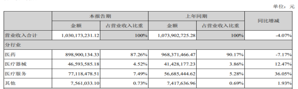 (图源:2021年海南海药半年报)