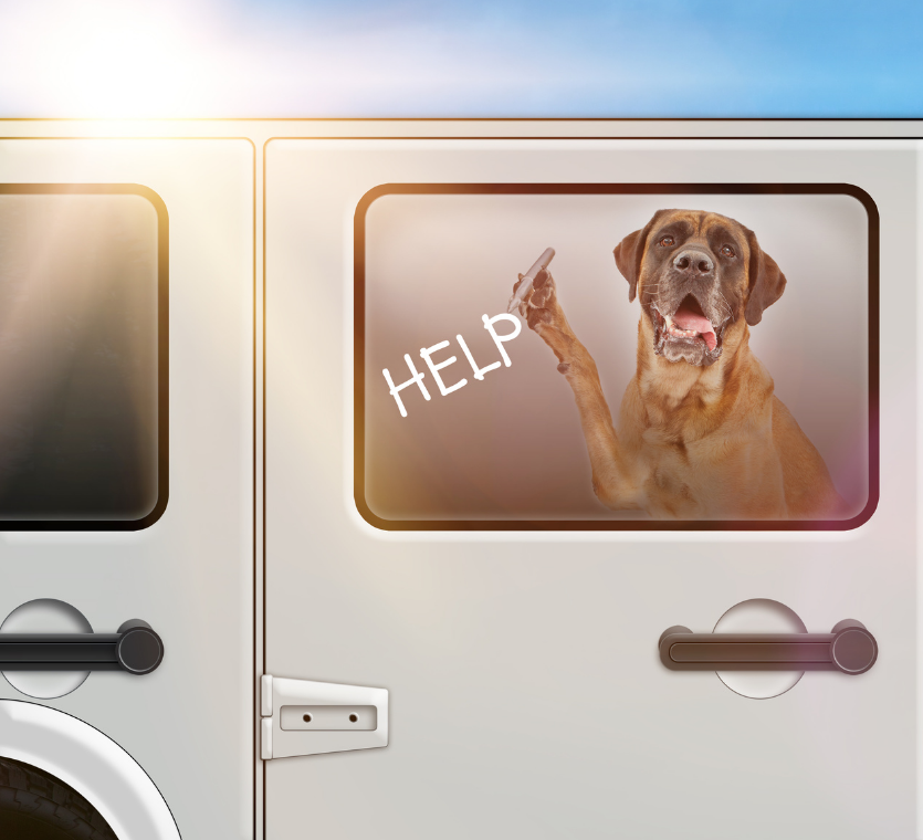 痛心!3岁女童中秋,被父母锁车内近3小时,喝光3瓶水,最终逃不过被活活闷死……休闲区蓝鸢梦想 - Www.slyday.coM 痛心!3岁女童中秋,被父母锁车内近3小时,喝光3瓶水,最终逃不过被活活闷死……休闲区蓝鸢梦想 - Www.slyday.coM