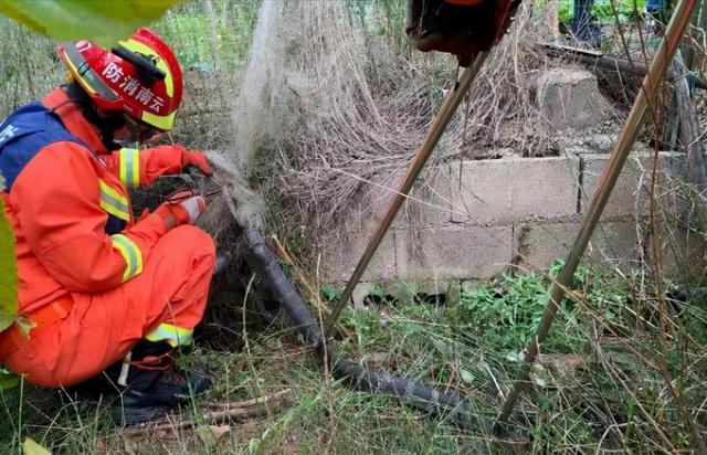 男子自家田地里惊现眼镜王蛇,3米长,有剧毒休闲区蓝鸢梦想 - Www.slyday.coM 男子自家田地里惊现眼镜王蛇,3米长,有剧毒休闲区蓝鸢梦想 - Www.slyday.coM