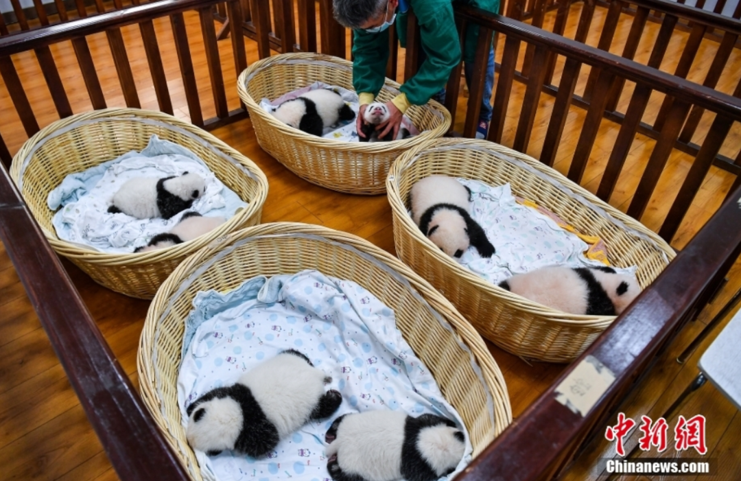 9.26 周日|平安归来!孟晚舟:“如果信念有颜色,那一定是中国红”(语音版)休闲区蓝鸢梦想 - Www.slyday.coM 9.26 周日|平安归来!孟晚舟:“如果信念有颜色,那一定是中国红”(语音版)休闲区蓝鸢梦想 - Www.slyday.coM