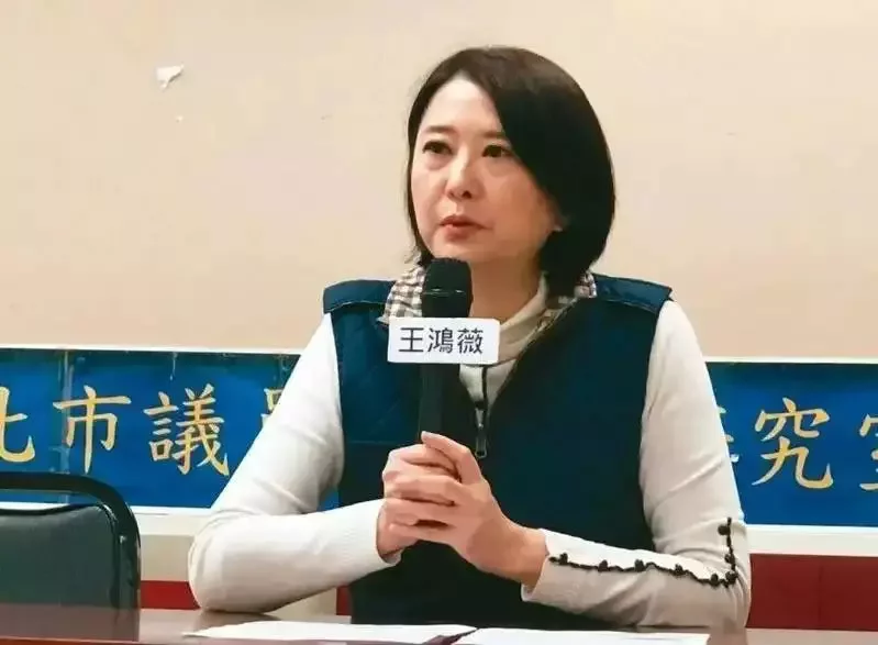 王鸿薇 资料图(图片来源:台湾《联合报》)