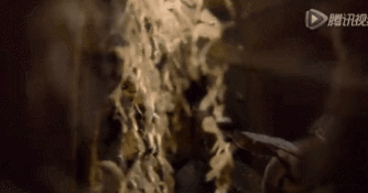 网传梁洛施<a href=