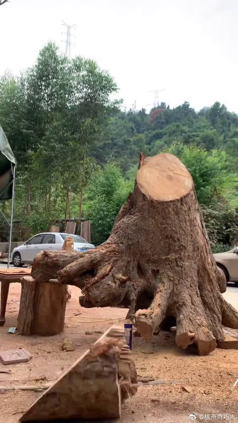 大树根变火麒麟大国工匠厉害