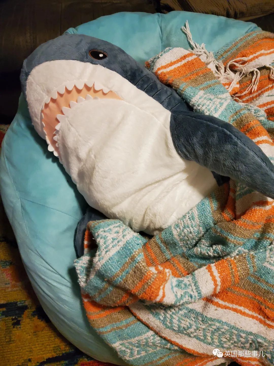 英国宜家鲨鱼抱枕下架还面临停产!网友哀嚎一片:“救救鲨鲨吧”!休闲区蓝鸢梦想 - Www.slyday.coM 英国宜家鲨鱼抱枕下架还面临停产!网友哀嚎一片:“救救鲨鲨吧”!休闲区蓝鸢梦想 - Www.slyday.coM