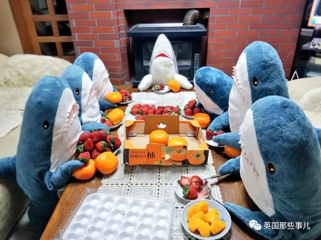 英国宜家鲨鱼抱枕下架还面临停产!网友哀嚎一片:“救救鲨鲨吧”!休闲区蓝鸢梦想 - Www.slyday.coM 英国宜家鲨鱼抱枕下架还面临停产!网友哀嚎一片:“救救鲨鲨吧”!休闲区蓝鸢梦想 - Www.slyday.coM