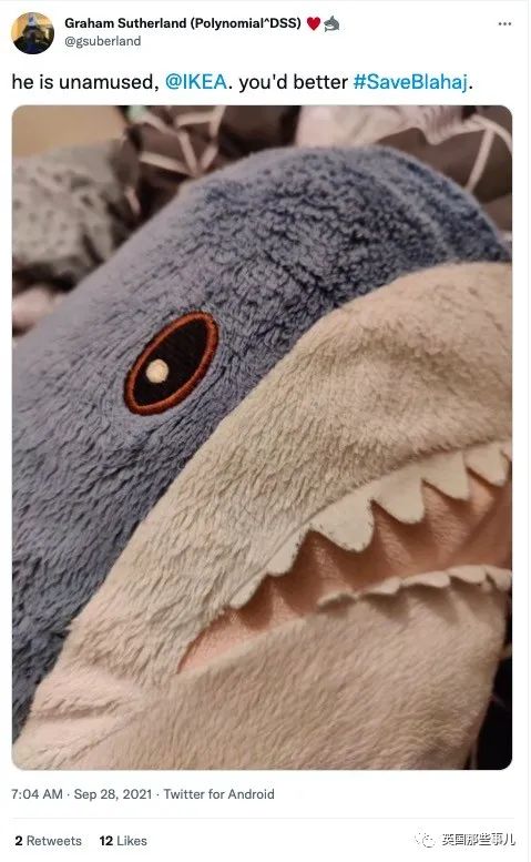 英国宜家鲨鱼抱枕下架还面临停产!网友哀嚎一片:“救救鲨鲨吧”!休闲区蓝鸢梦想 - Www.slyday.coM 英国宜家鲨鱼抱枕下架还面临停产!网友哀嚎一片:“救救鲨鲨吧”!休闲区蓝鸢梦想 - Www.slyday.coM