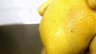 据说,没有一只鸡可以活着离开广东休闲区蓝鸢梦想 - Www.slyday.coM 据说,没有一只鸡可以活着离开广东休闲区蓝鸢梦想 - Www.slyday.coM