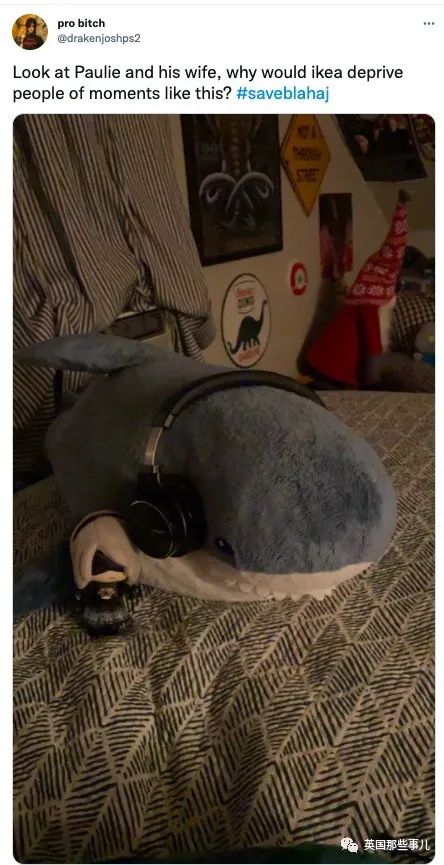 英国宜家鲨鱼抱枕下架还面临停产!网友哀嚎一片:“救救鲨鲨吧”!休闲区蓝鸢梦想 - Www.slyday.coM 英国宜家鲨鱼抱枕下架还面临停产!网友哀嚎一片:“救救鲨鲨吧”!休闲区蓝鸢梦想 - Www.slyday.coM