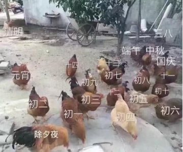 据说,没有一只鸡可以活着离开广东休闲区蓝鸢梦想 - Www.slyday.coM 据说,没有一只鸡可以活着离开广东休闲区蓝鸢梦想 - Www.slyday.coM