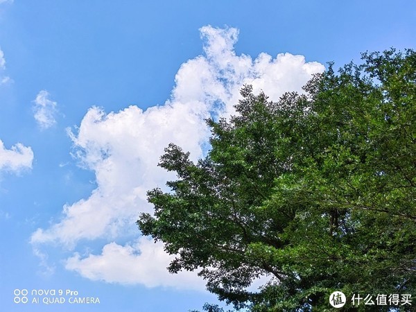 抬手就能拍大片、喝杯咖啡就能充满电,这样的nova9 Pro你爱了吗?休闲区蓝鸢梦想 - Www.slyday.coM 抬手就能拍大片、喝杯咖啡就能充满电,这样的nova9 Pro你爱了吗?休闲区蓝鸢梦想 - Www.slyday.coM