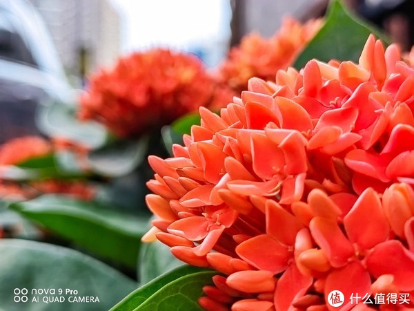 抬手就能拍大片、喝杯咖啡就能充满电,这样的nova9 Pro你爱了吗?休闲区蓝鸢梦想 - Www.slyday.coM 抬手就能拍大片、喝杯咖啡就能充满电,这样的nova9 Pro你爱了吗?休闲区蓝鸢梦想 - Www.slyday.coM